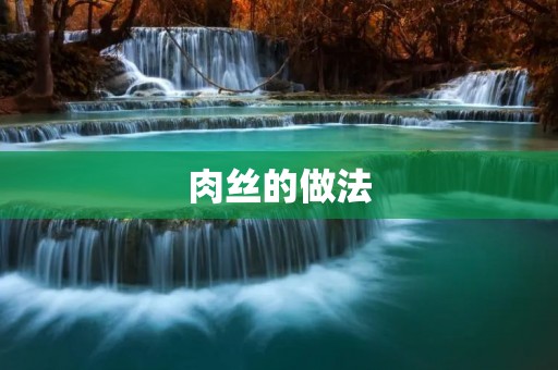 肉丝的做法：美味佳肴的制作秘诀
