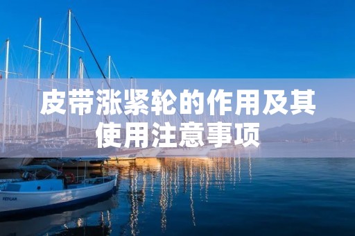 皮带涨紧轮的作用及其使用注意事项 皮带涨紧轮的作用及其使用注意事项