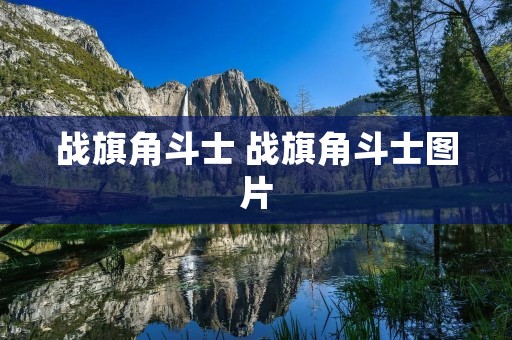 战旗角斗士 战旗角斗士图片