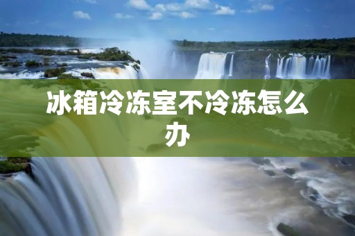 冰箱冷冻室不冷冻怎么办 冰箱冷冻室不冷冻怎么办