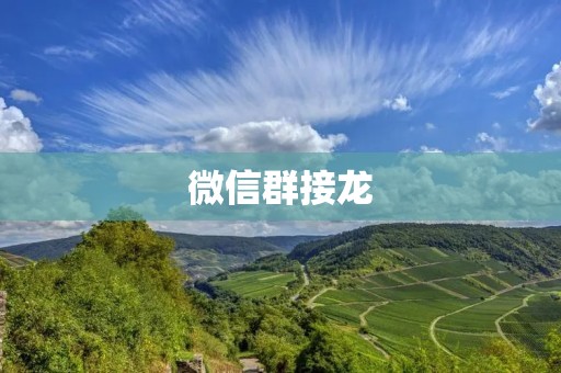 微信群接龙:创造互动与趣味的社交方式