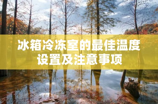 冰箱冷冻室的最佳温度设置及注意事项