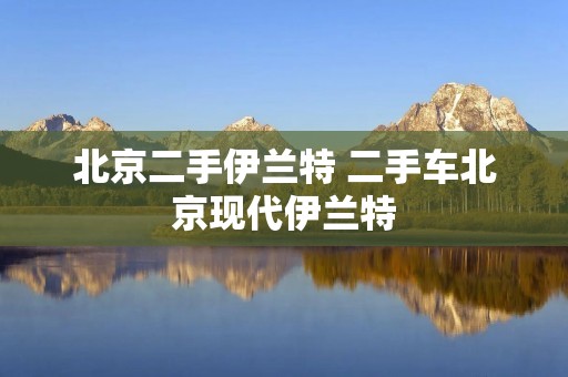 北京二手伊兰特 二手车北京现代伊兰特