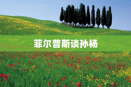 菲尔普斯谈孙杨:挑战与成长的关键时刻 菲尔普斯谈孙杨:挑战与成长的关键时刻