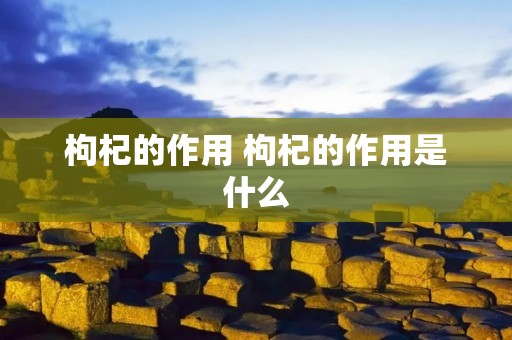 枸杞的作用 枸杞的作用是什么