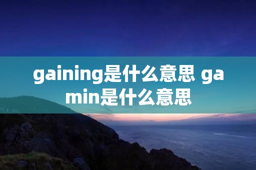 gaining是什么意思 gamin是什么意思