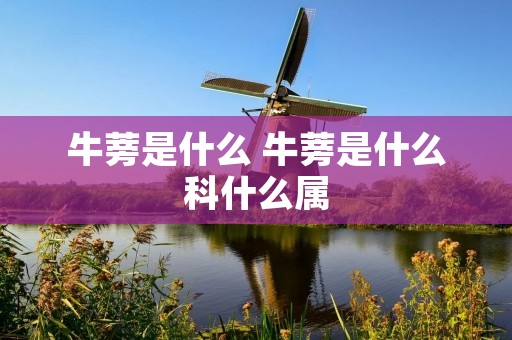 牛蒡是什么 牛蒡是什么科什么属