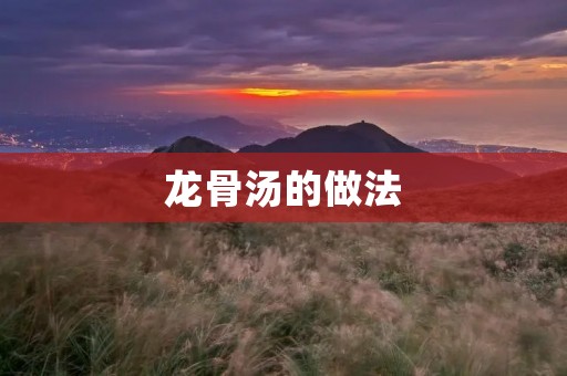 龙骨汤的做法:炖出滋补养生的美味佳肴