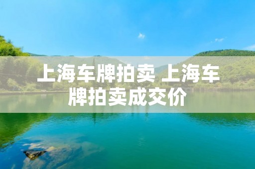 上海车牌拍卖 上海车牌拍卖成交价 上海车牌拍卖 上海车牌拍卖成交价