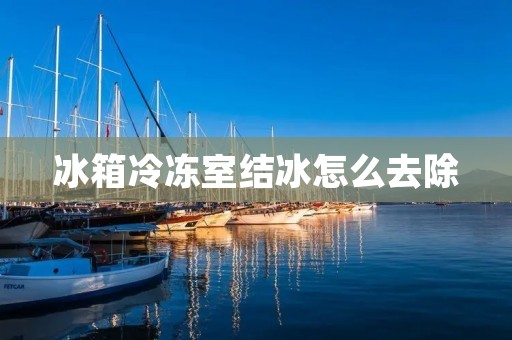冰箱冷冻室结冰怎么去除 冰箱冷冻室结冰怎么去除