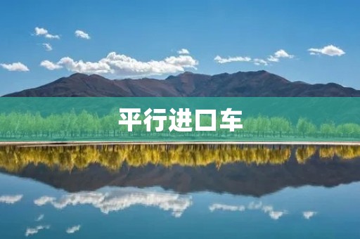 平行进口车:优势与挑战 平行进口车:优势与挑战
