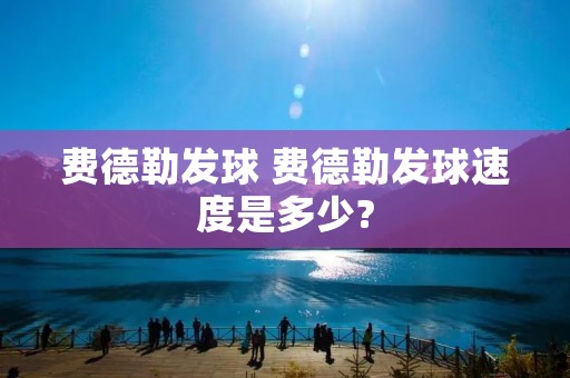 费德勒发球 费德勒发球速度是多少?
