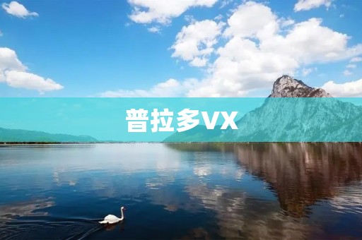 普拉多VX:豪华与实用的完美结合 普拉多VX:豪华与实用的完美结合