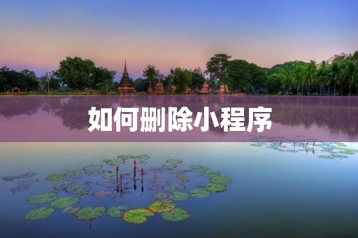 如何删除小程序