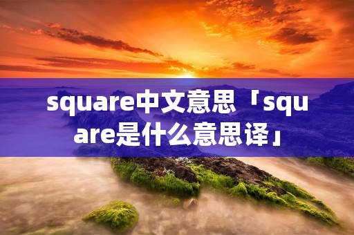 square中文意思「square是什么意思译」
