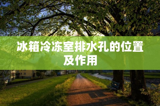 冰箱冷冻室排水孔的位置及作用