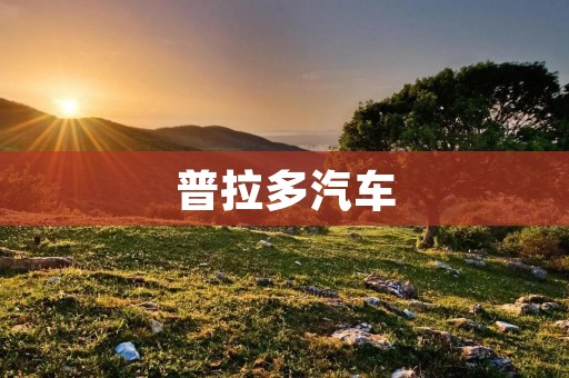 普拉多汽车:领航者的选择 普拉多汽车:领航者的选择