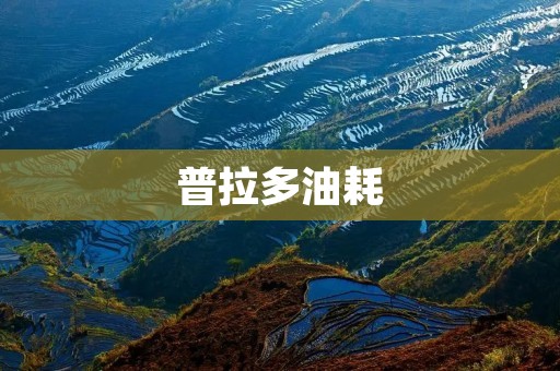 普拉多油耗:如何优化燃油效率? 普拉多油耗:如何优化燃油效率?