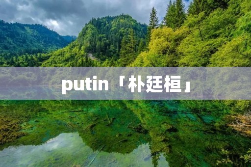 putin「朴廷桓」