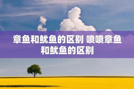 章鱼和鱿鱼的区别 喷喷章鱼和鱿鱼的区别
