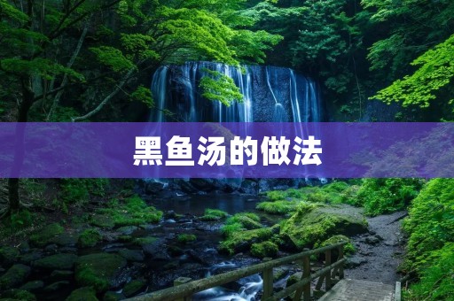 黑鱼汤的做法:滋补养生的美味佳肴