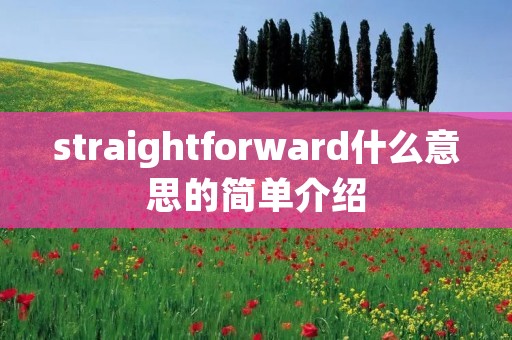 straightforward什么意思的简单介绍 straightforward什么意思的简单介绍