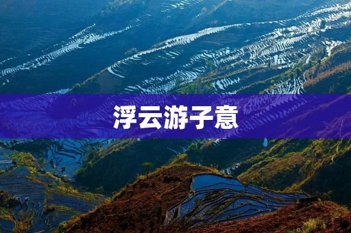 浮云游子意:追寻自由的心灵之旅