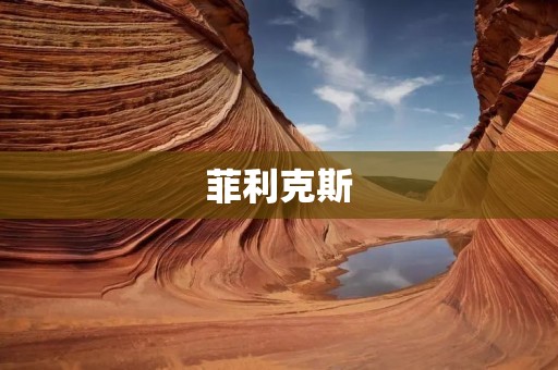 菲利克斯:挑战极限的勇者 菲利克斯:挑战极限的勇者