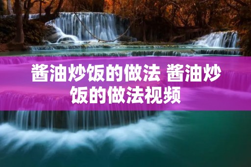 酱油炒饭的做法 酱油炒饭的做法视频