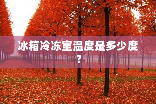 冰箱冷冻室温度是多少度？