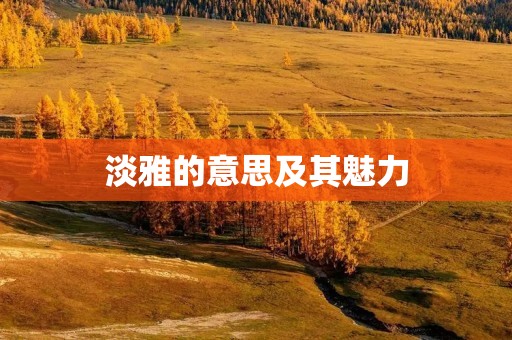 淡雅的意思及其魅力