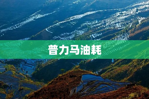 普力马油耗:高效节能的驾驶伙伴 普力马油耗:高效节能的驾驶伙伴