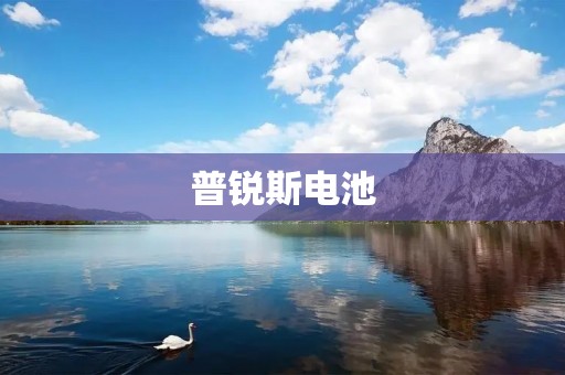 普锐斯电池:高效节能的绿色动力源 普锐斯电池:高效节能的绿色动力源