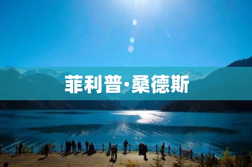 菲利普·桑德斯:社会主义者与美国政治的变革之路 菲利普·桑德斯:社会主义者与美国政治的变革之路