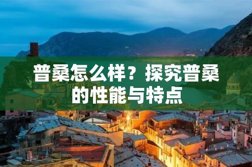 普桑怎么样?探究普桑的性能与特点 普桑怎么样?探究普桑的性能与特点