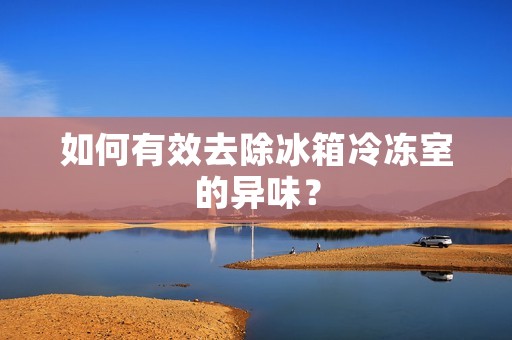 如何有效去除冰箱冷冻室的异味？