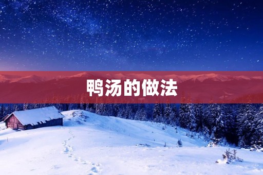 鸭汤的做法:美味佳肴,温暖身心 鸭汤的做法:美味佳肴,温暖身心