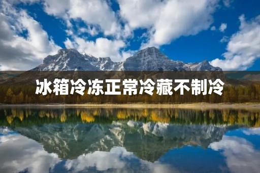 冰箱冷冻正常冷藏不制冷：故障原因及解决方法
