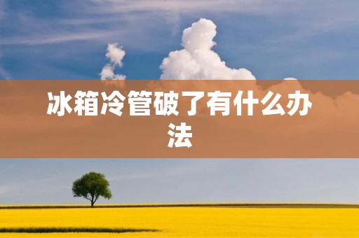 冰箱冷管破了有什么办法