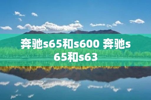 奔驰s65和s600 奔驰s65和s63