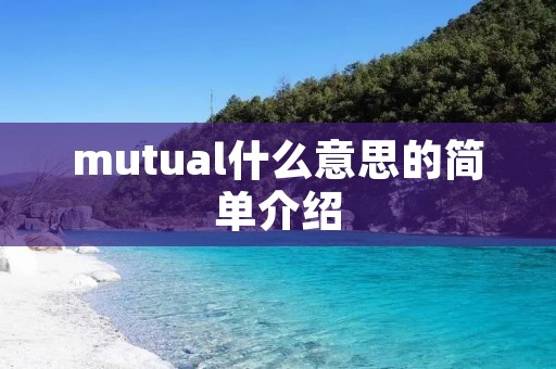 mutual什么意思的简单介绍