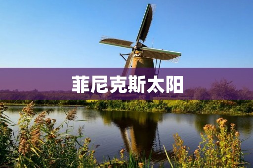 菲尼克斯太阳：一支充满活力的NBA球队