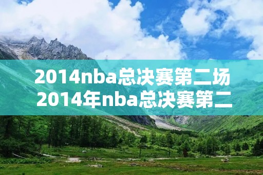 2014nba总决赛第二场 2014年nba总决赛第二场