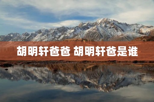 胡明轩爸爸 胡明轩爸是谁 胡明轩爸爸 胡明轩爸是谁