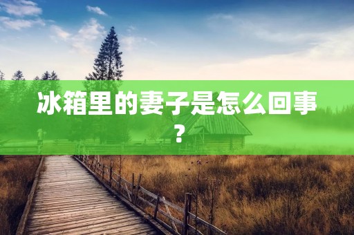 冰箱里的妻子是怎么回事？