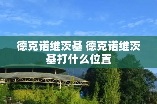 德克诺维茨基 德克诺维茨基打什么位置 德克诺维茨基 德克诺维茨基打什么位置