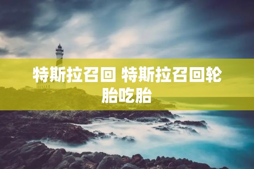 特斯拉召回 特斯拉召回轮胎吃胎
