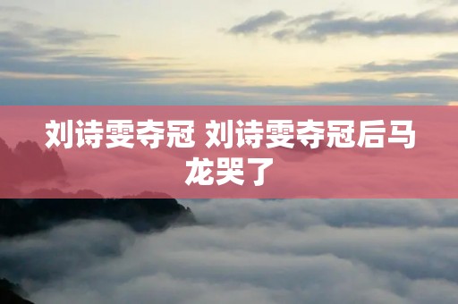 刘诗雯夺冠 刘诗雯夺冠后马龙哭了