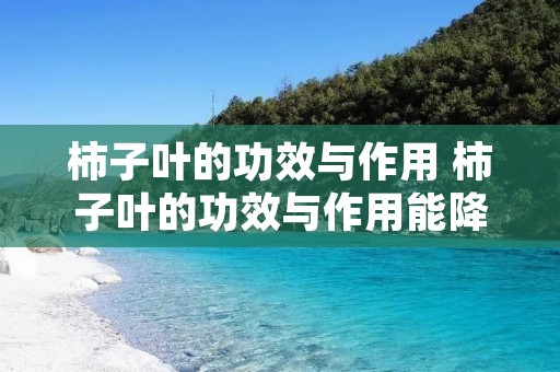 柿子叶的功效与作用 柿子叶的功效与作用能降血糖
