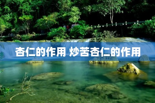 杏仁的作用 炒苦杏仁的作用